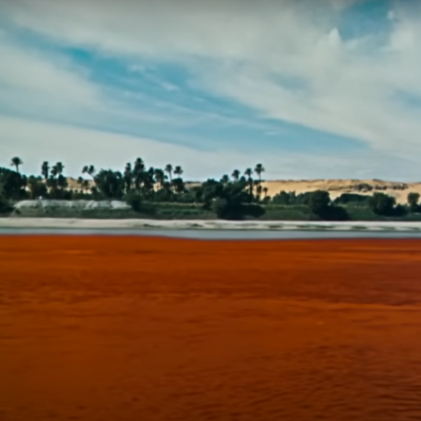 Egypt’s Plagues: A Haunting Tale of Despair