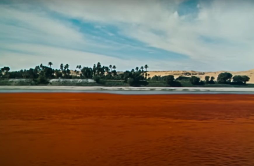 Egypt’s Plagues: A Haunting Tale of Despair