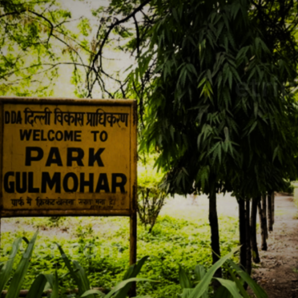 Shadows of Gulmohar: A Family’s Secret