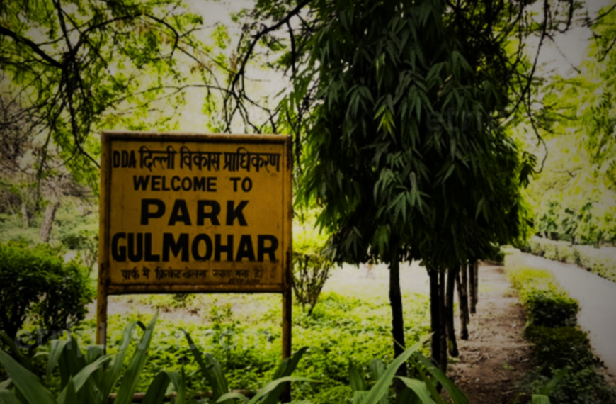 Shadows of Gulmohar: A Family’s Secret