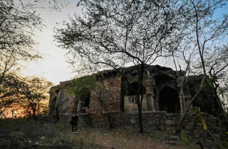The Hauntings of Malcha Mahal